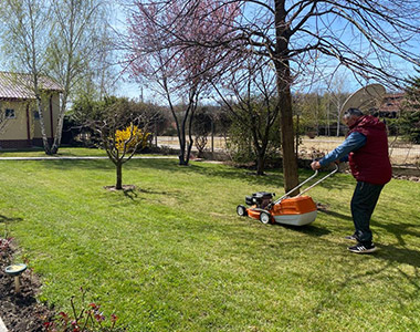 Amenajare curte interioară