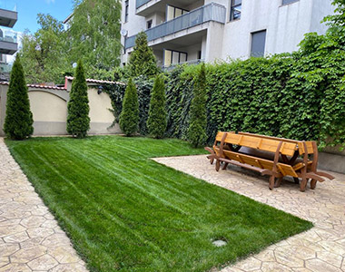 Amenajare curte interioară