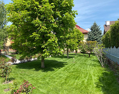 Amenajare curte interioară