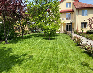 Amenajare curte interioară